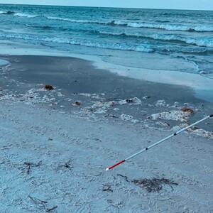 Team Page: O&M Rulz!